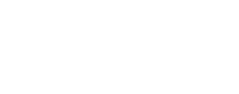 The Window